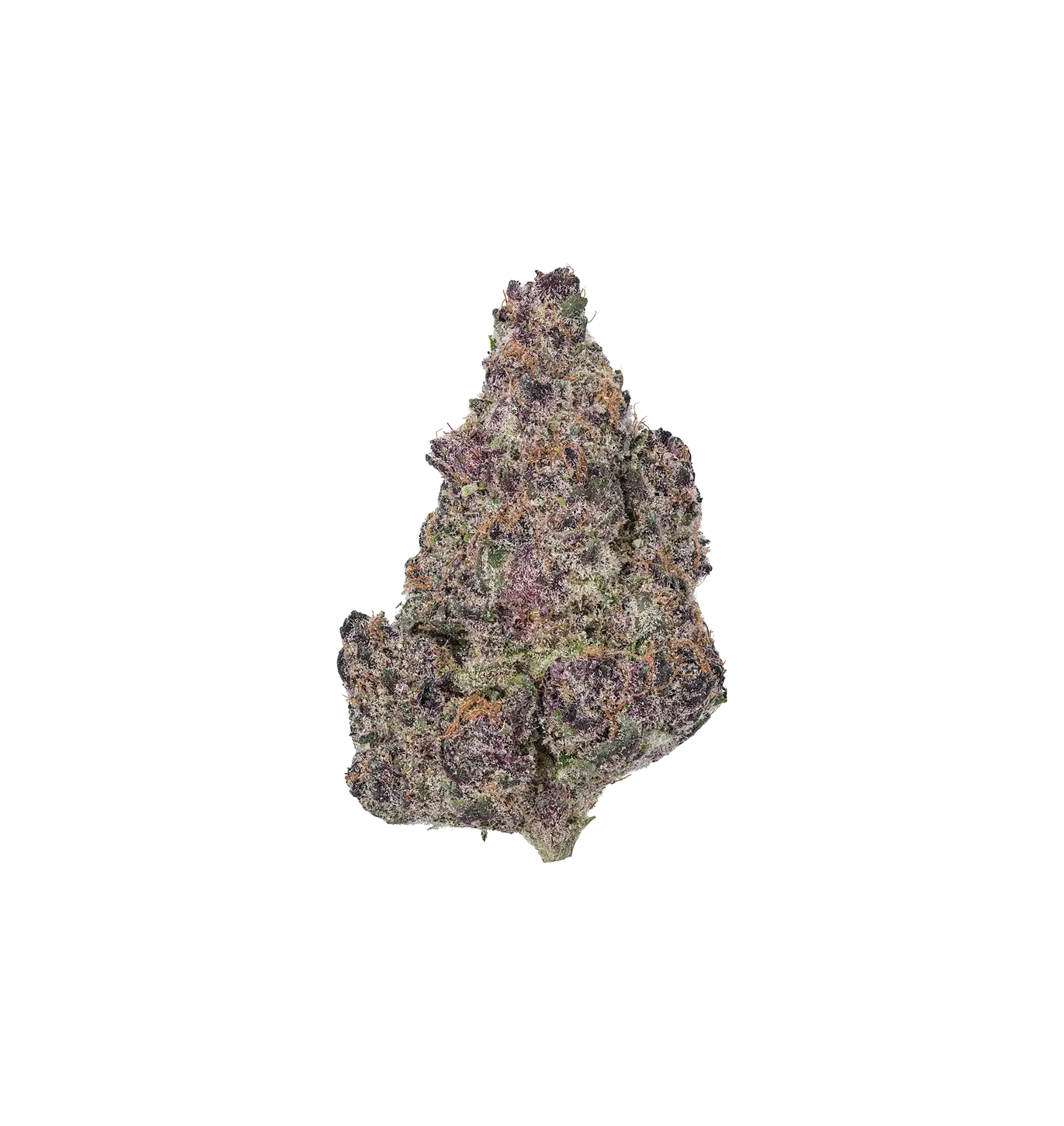 Purple Amnésia THC+