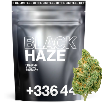 Black Haze THC+