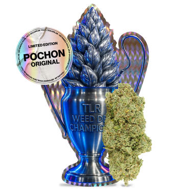 Tealer Champion Kush CBX