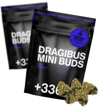 Dragibud THC+  1g + 1g offert