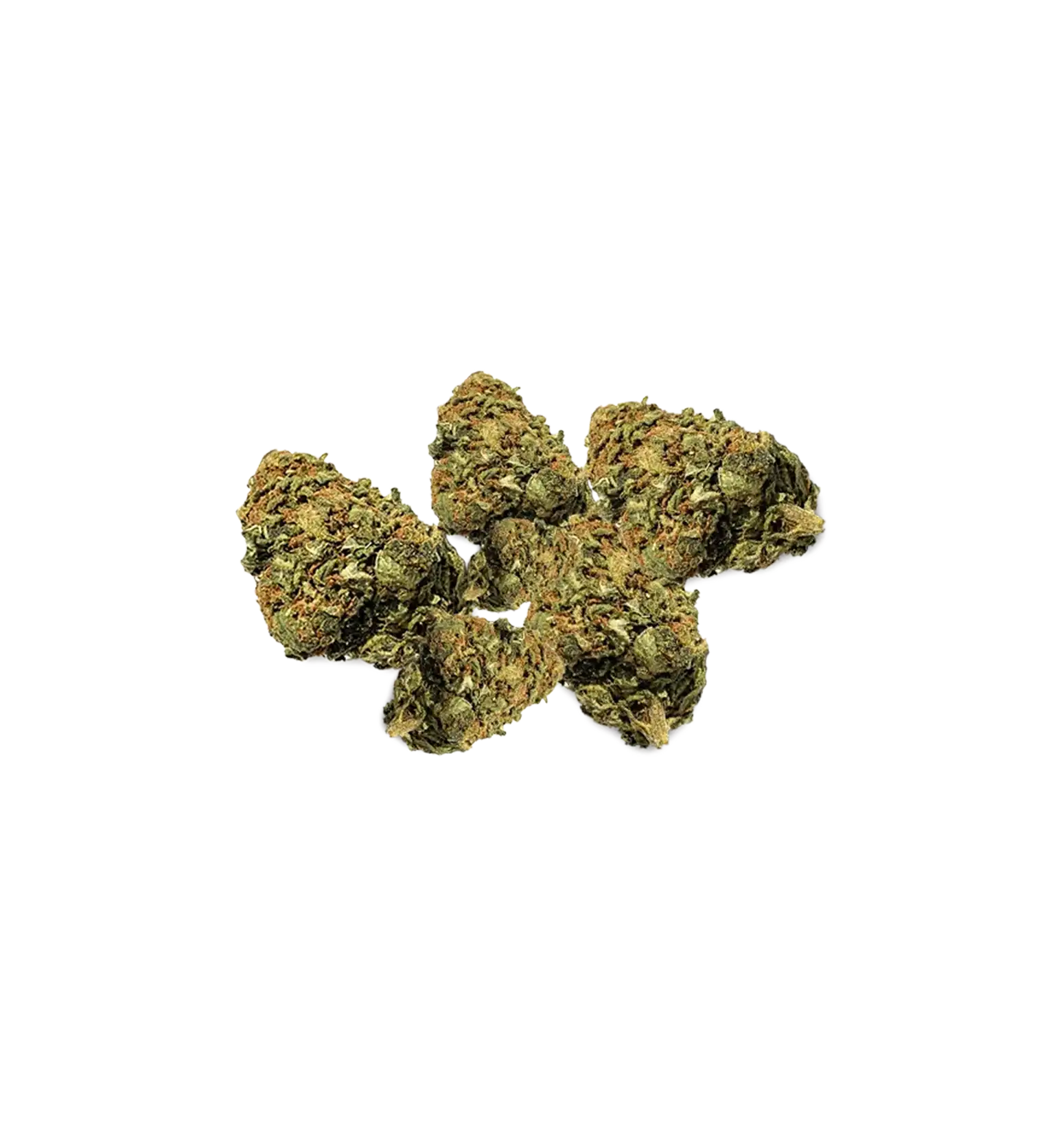DragiBud THC+
