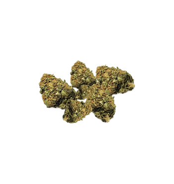 DragiBud THC+