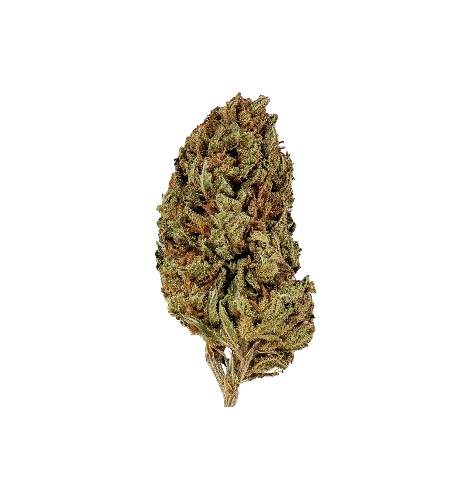 Cookies Kush THC+